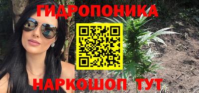 ECSTASY Абакан