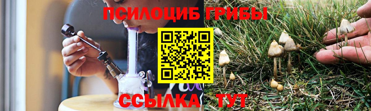 Ржев  Псилоцибиновые грибы Magic Shrooms  Вход с VPN 