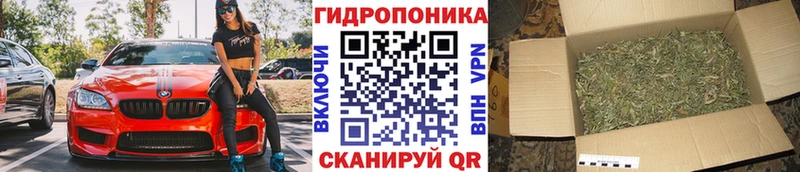 где купить наркотик  Ржев  Каннабис тримм 