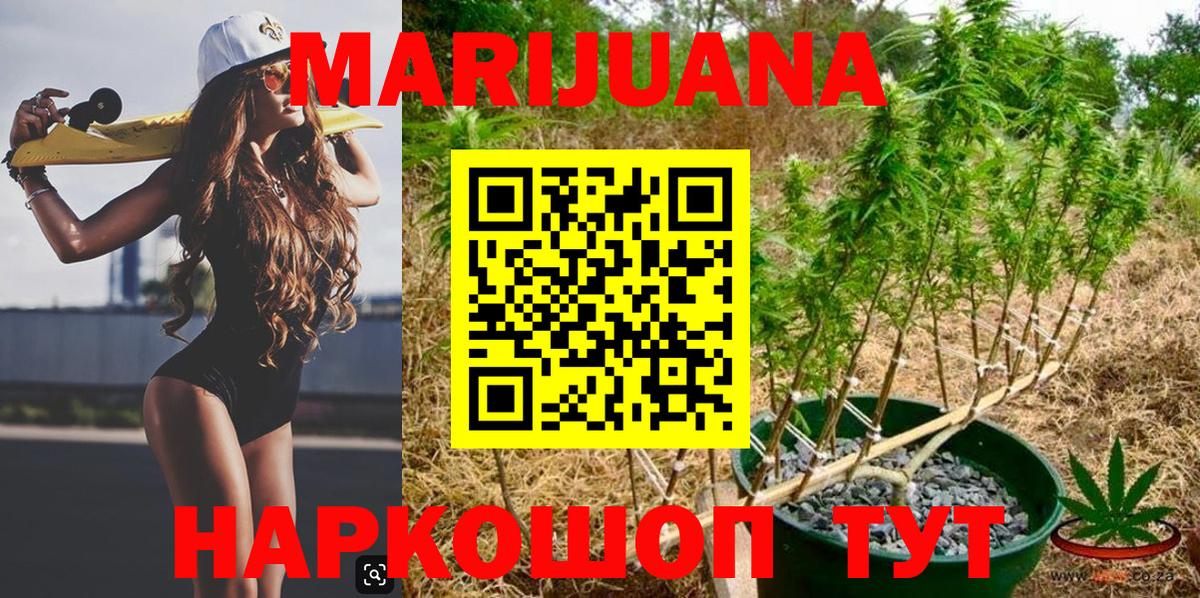 Бошки марихуана конопля Ржев